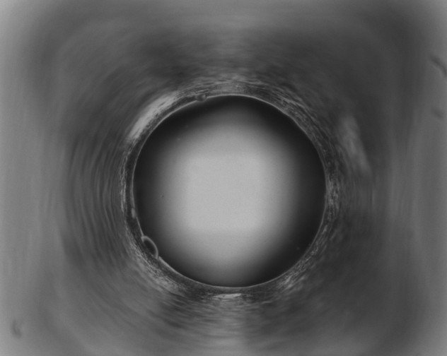 X0000103320054200809121157