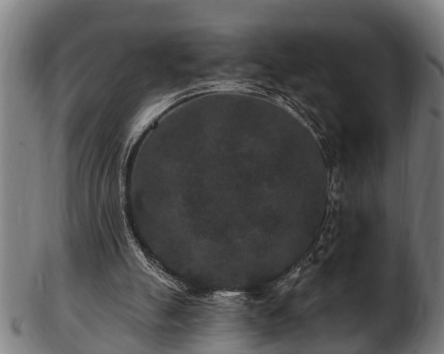 X0000103320055200809121157