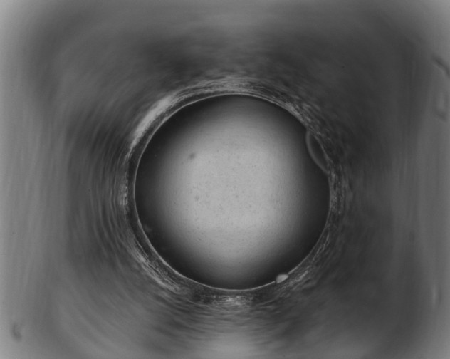 X0000103320056200809121157