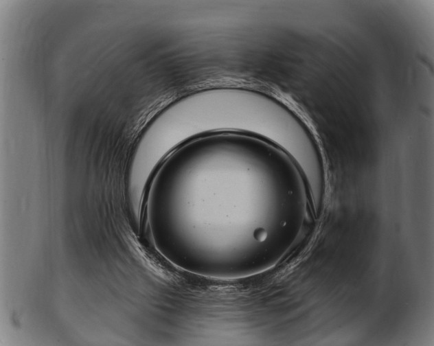 X0000103320057200809121157