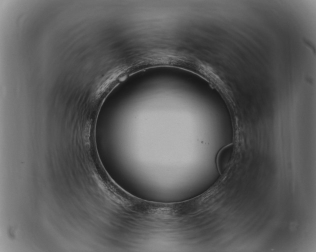 X0000103320058200809121157