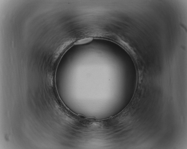 X0000103320060200809121157