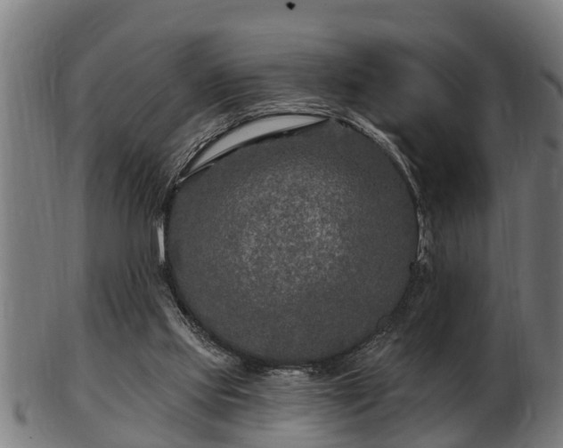 X0000103320061200809121157