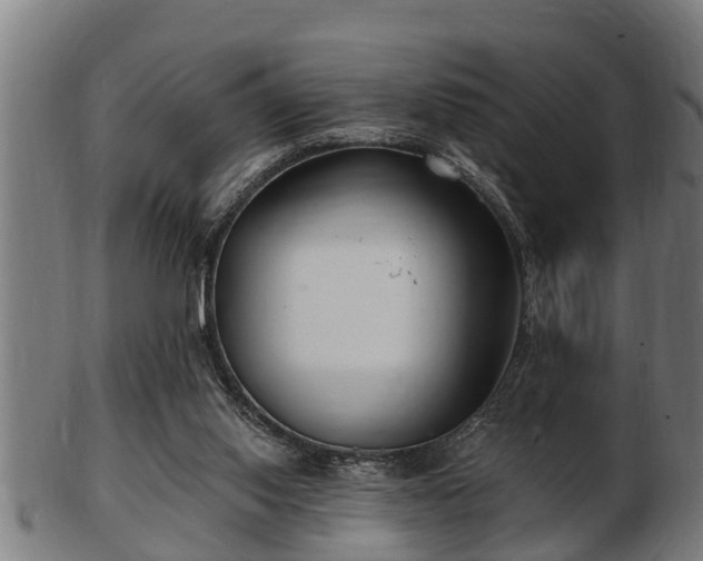 X0000103320062200809121157