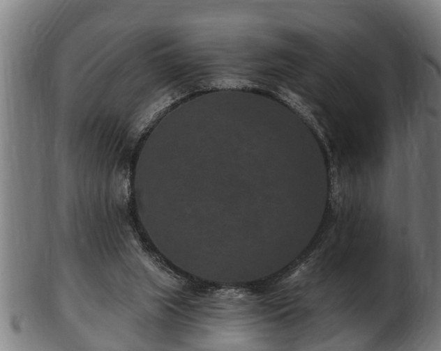 X0000103320063200809121157