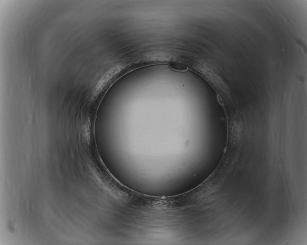 X0000103320064200809121157