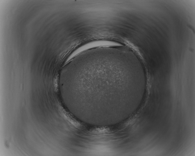 X0000103320065200809121157