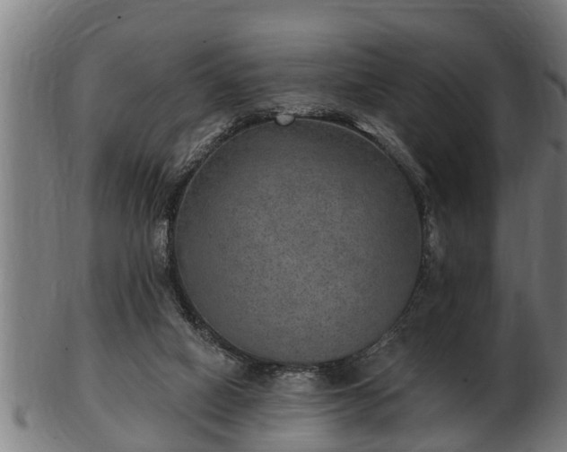 X0000103320066200809121157