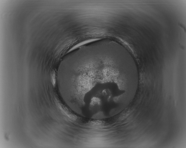 X0000103320069200809121157