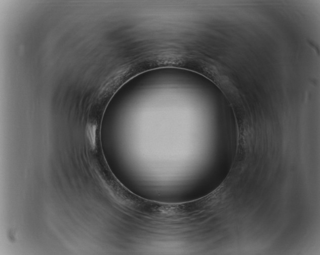 X0000103320070200809121157