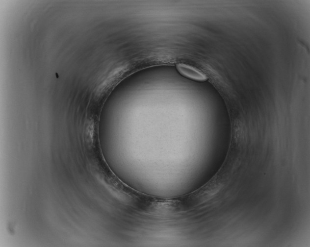 X0000103320072200809121157