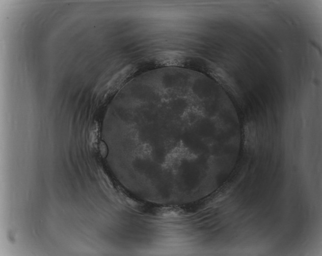 X0000103320073200809121157