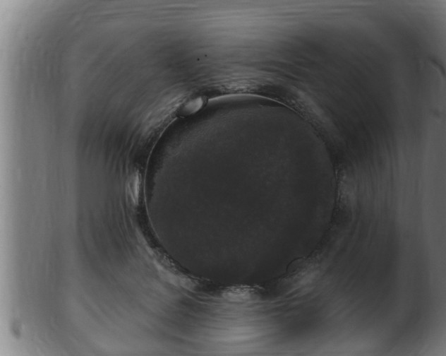 X0000103320076200809121157