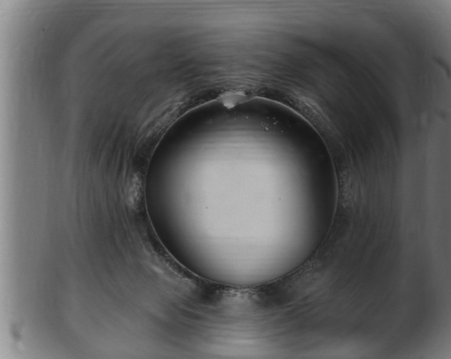 X0000103320077200809121157