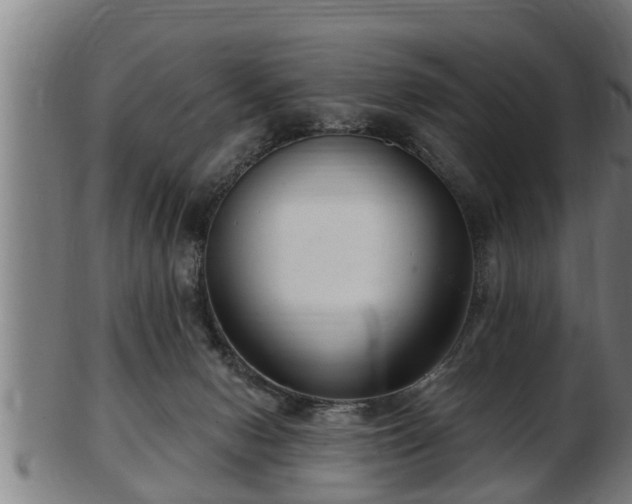 X0000103320078200809121157