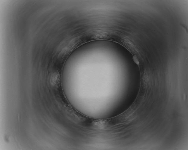 X0000103320079200809121157