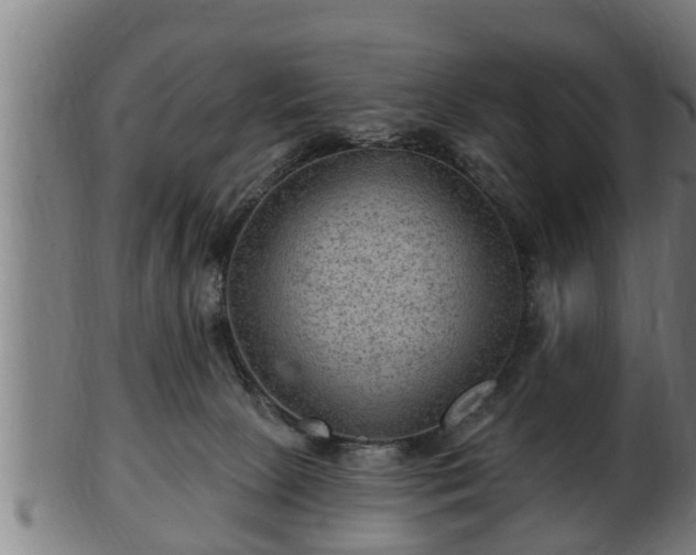 X0000103320081200809121157