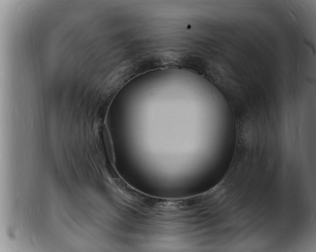 X0000103320082200809121157