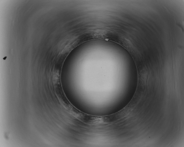 X0000103320083200809121157