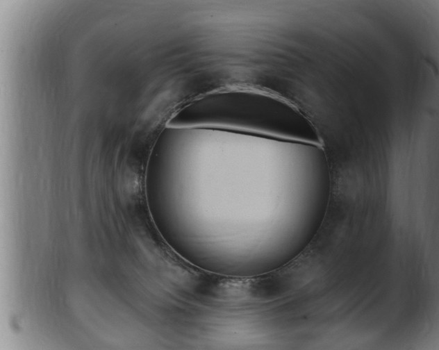 X0000103320084200809121157