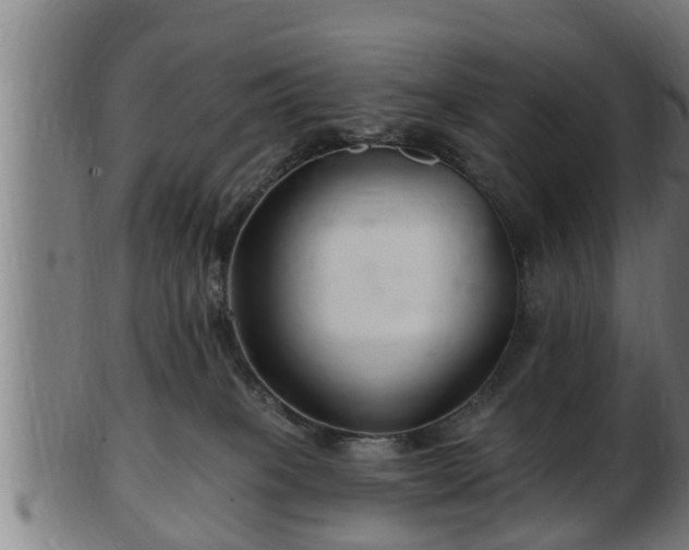 X0000103320085200809121157