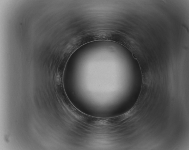 X0000103320086200809121157