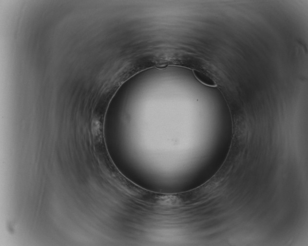 X0000103320087200809121158