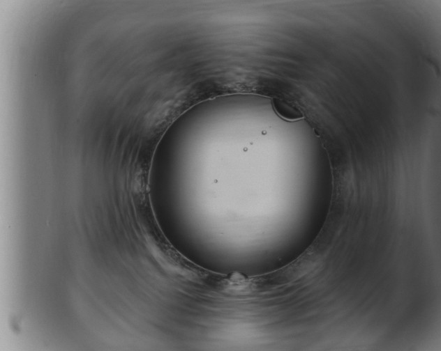 X0000103320088200809121158