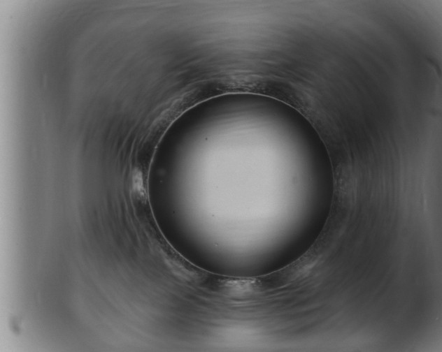 X0000103320089200809121158