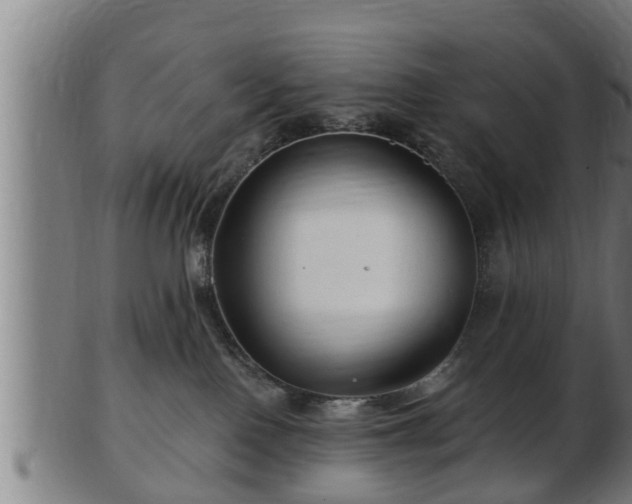 X0000103320090200809121158