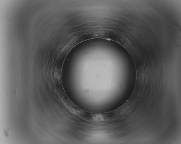 X0000103320091200809121158