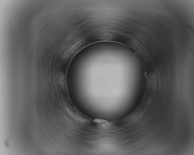 X0000103320092200809121158