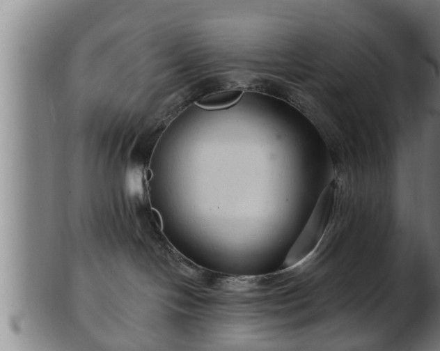 X0000103320094200809121158