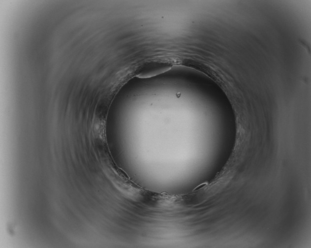 X0000103320096200809121158