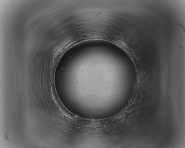 X0000103320097200809121157