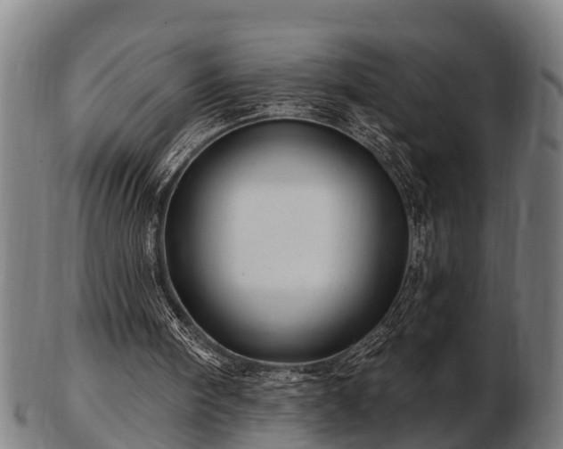 X0000103320098200809121157