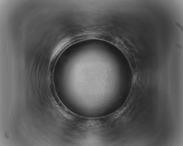 X0000103320101200809121157