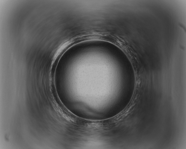 X0000103320102200809121157