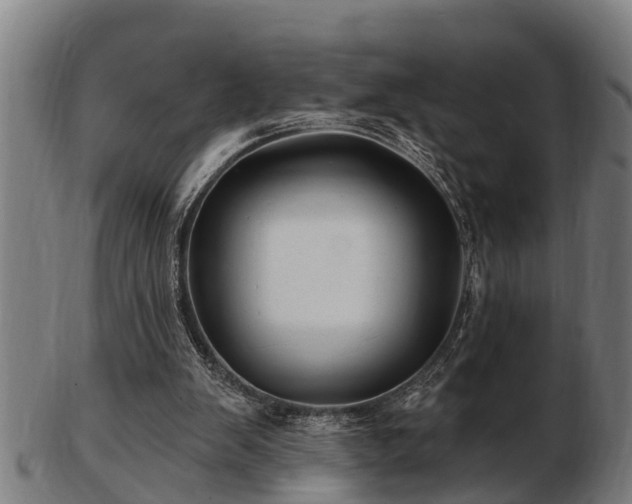 X0000103320103200809121157