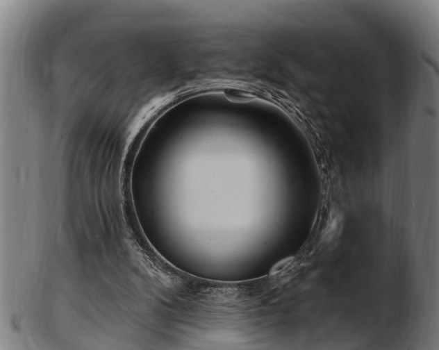 X0000103320104200809121157