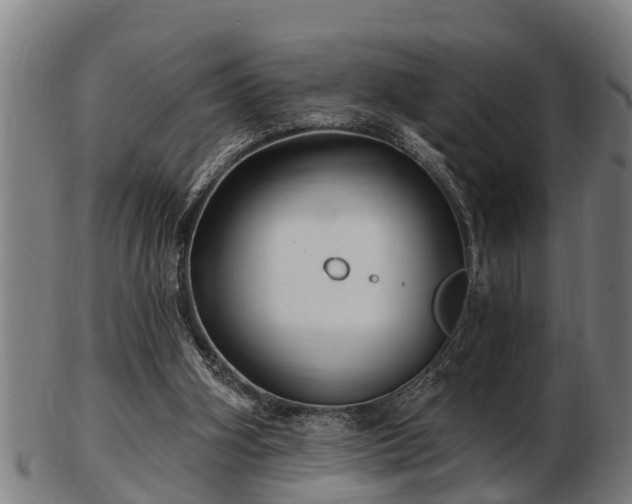 X0000103320106200809121157