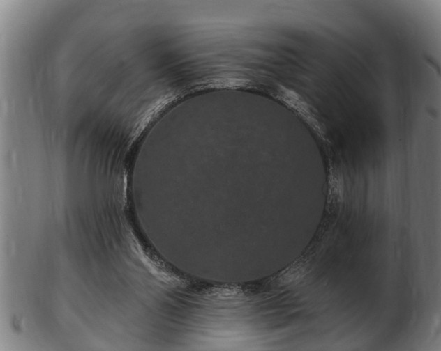 X0000103320110200809121157