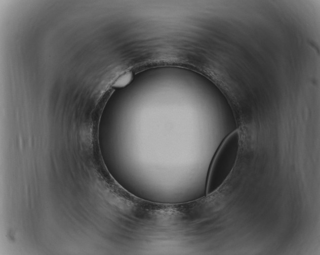 X0000103320112200809121157