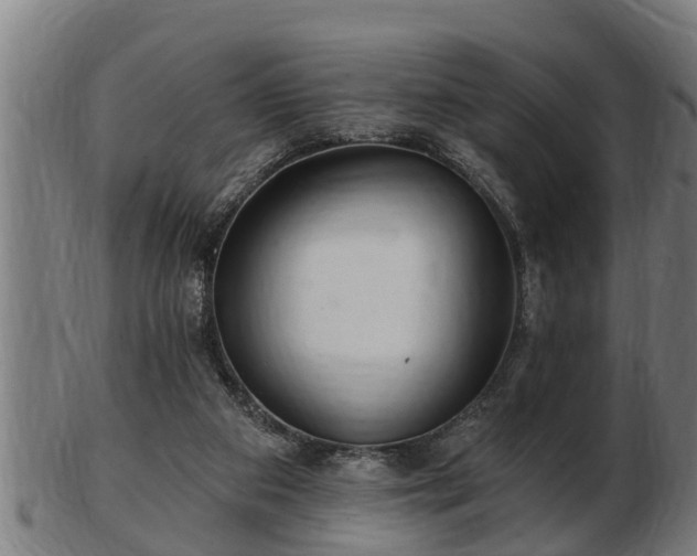 X0000103320113200809121157