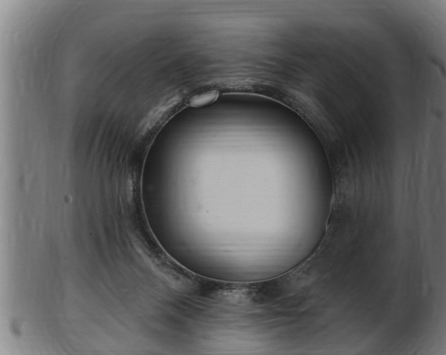 X0000103320120200809121157