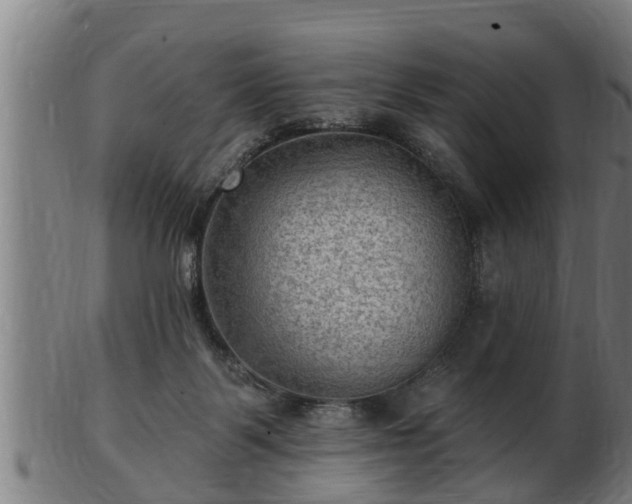 X0000103320123200809121157