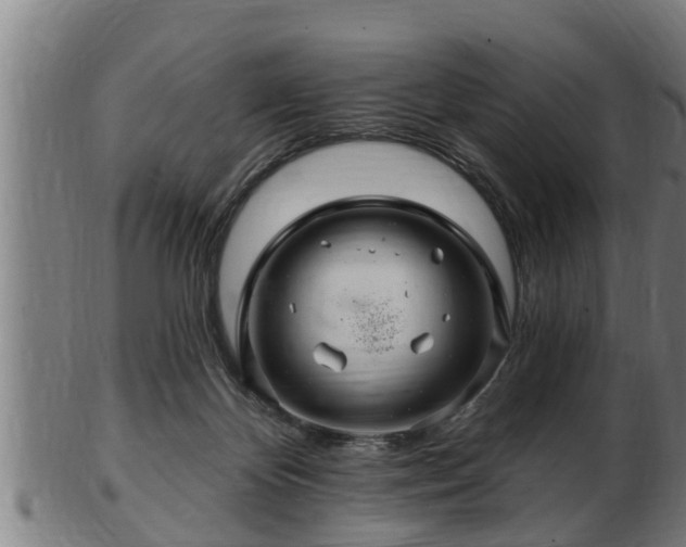 X0000103320124200809121157