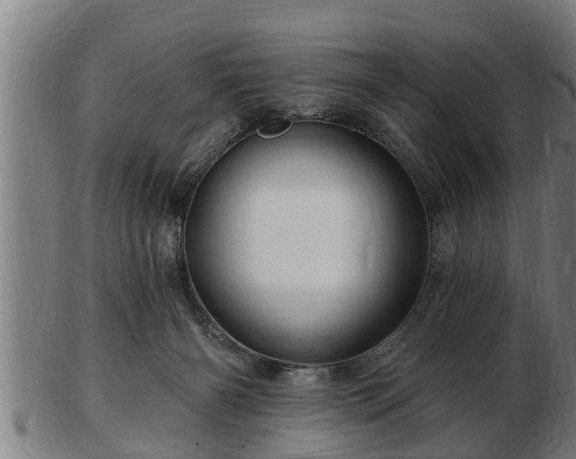 X0000103320126200809121157