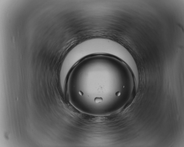 X0000103320128200809121157