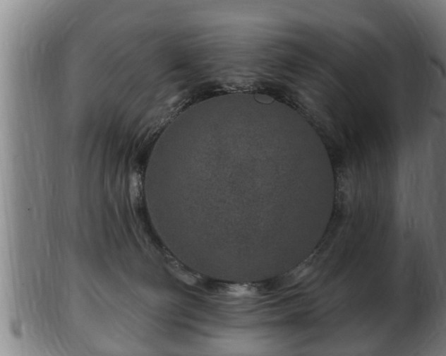 X0000103320130200809121157